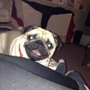 Henry Crow - @crow_henry - Twitter