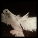 Mariusz Grabowski - @Fekkerd - Twitter