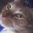 ElmoKMB's profile image