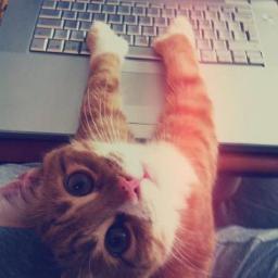hey my name is Tarek from Egypt,alexandria