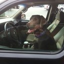 joey britt - @joeytbritt - Twitter