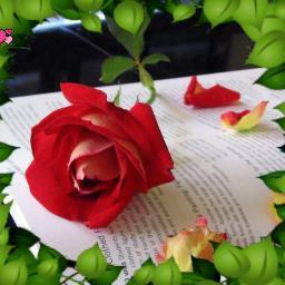 SOADIBODE's profile picture. 