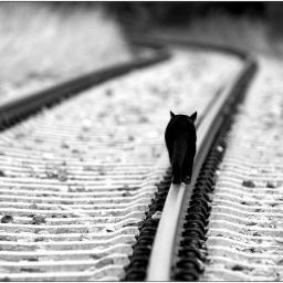 Algo más que trenes y vías.