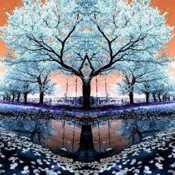 NikoShkoder's profile picture. 