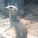 amir george - @youngprincerule - Twitter