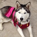 bruce ly - @Fri3dR1ce - Twitter