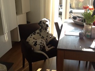 RHeijnen11's profile picture. 