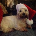 Pamela Arrowsmith - @aaahmeem - Twitter