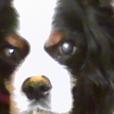 Ashley Powers - @Ashbabe09 - Twitter