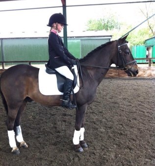 I love dressage! I have a amazing dressage pony , called willoway piccadilly , sponsored by Equicloth and designer headcollars please follow to here progress !!