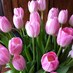 Els van R (@elsvanrooy) Twitter profile photo Els van R (@elsvanrooy) Twitter profile photo