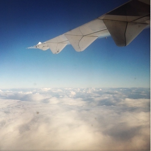 DJELLXH's profile picture. 