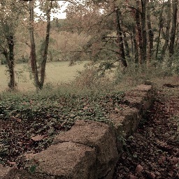 highlandrimtour's profile picture. 