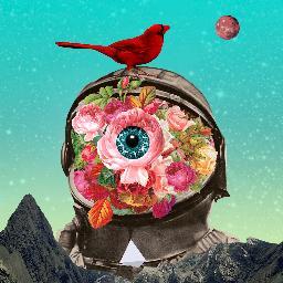 davfallow's profile picture. Algunas ocasiones con ropa otras con máscaras siempre enfocado en ajustar mis palabras a las imágenes