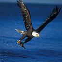 ryan sauer - @beastanator - Twitter