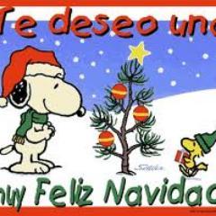 feliznavidad32's profile picture. OS DESEO UNA GRAN FELIZ NAVIDAD :-)