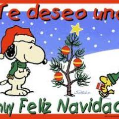 OS DESEO UNA GRAN FELIZ NAVIDAD :-)