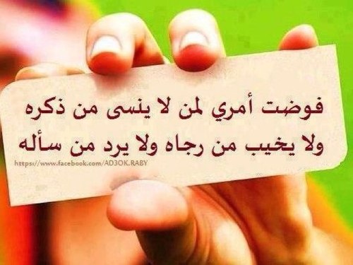 صدقة جارية عن اطيب و اغلى انسانه عرفتها بحياتي فقيدتي الغالية ( سراء❤️) و والدي و جميع المسلمين ؛ ادعو ربي ان يكون سبباً لدخولكم الجنة.انشئ الحساب في ٢٠١٢