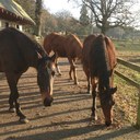 Mr Roger Edward Muse - @RogerEdwardMuse - Twitter