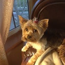 penny cain - @pennycain9 - Twitter