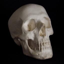 死を忘れるな