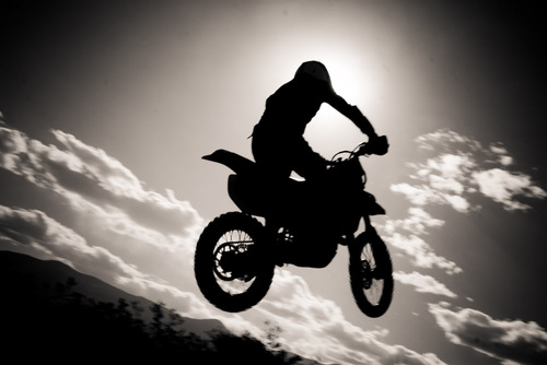 dirtybastardsmx's profile picture. bruised and battered tweets from the dirty bastards