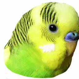 湘南にアトリエをかまえるのが夢で、週末は白文鳥のユキちゃんと戯れて生活しています。動物占いのコアラそのもののゆるい人間。 普段は広告関係の仕事をしているような気がします。