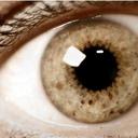 Denver Cook - @Bronco7269 - Twitter