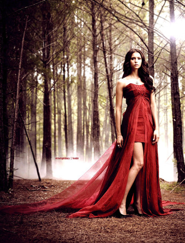 @ninadobrev changed my life forever!!!