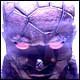 E_Nabled's profile picture.