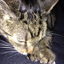 Emma Bunch - @TheEmmaBunch - Twitter