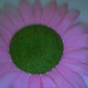 meredith wright - @mw444 - Twitter