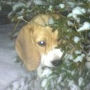 Glenn Armitage - @glenn_armitage - Twitter