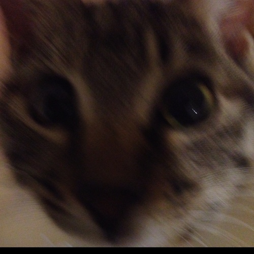 Pam_TLV's profile picture. 