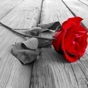 ALAA (@0932119553) Twitter