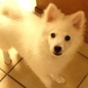 tracy langford - @TracyLangford16 - Twitter