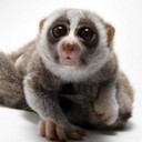 Robert Hansen - @Robbbaan - Twitter