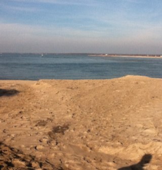 manorvillemom's profile picture. 