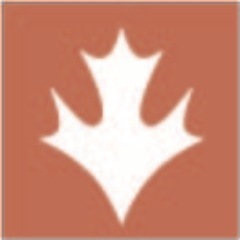 Maplecoldpress's profile picture. Artist, bookmaker, arts advocate