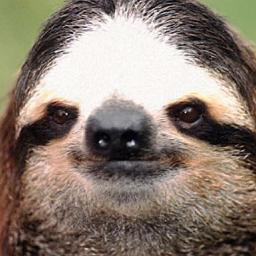 I am the queen of the sloths and one day i will reign over the worldpromise