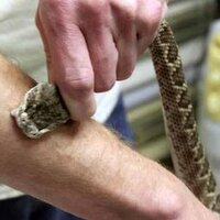 Tim Friede (@timfriede) 's Twitter Profile