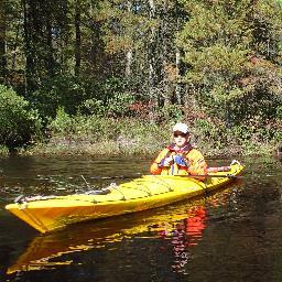 tpetruzziello1's profile picture. 