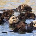 Jay McCabe - @jc_mccabe - Twitter