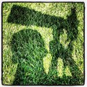 Chris Palermo - @CPalermoPhoto1 - Twitter