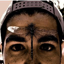 HaroldDarrell's profile picture. 