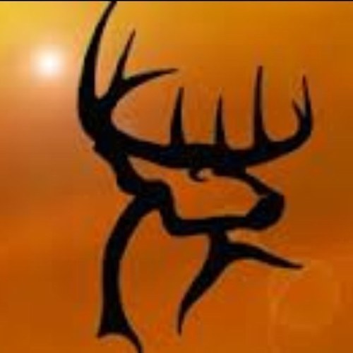 buckcommander7's profile picture. The great buck commander.. Hunting bucks in the night.  not afflicted with the real Buck Commander