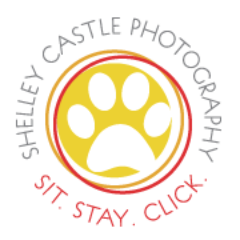 Shelley_Castle's profile picture. Fun, fresh, modern pet photography that defines your pet's spirit and captures their pawprint on your heart.

Northern Virgina :: Washington DC :: Maryland