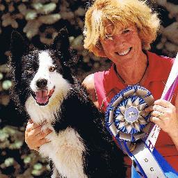 capecoddogtrain's profile picture. 