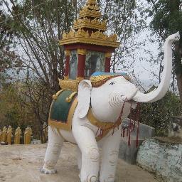 maythu20's profile picture. 