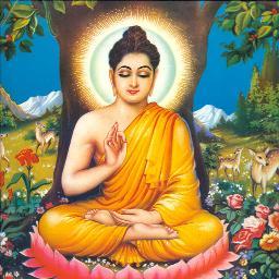 THIS TWITTER ACCOUNT IS BASED ON A CHARACTER THAT CONSIDERS HIMSELF AS A BUDDHA